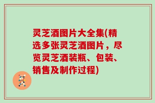 灵芝酒图片大全集(精选多张灵芝酒图片，尽览灵芝酒装瓶、包装、销售及制作过程)