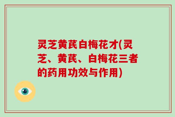 灵芝黄芪白梅花才(灵芝、黄芪、白梅花三者的药用功效与作用)