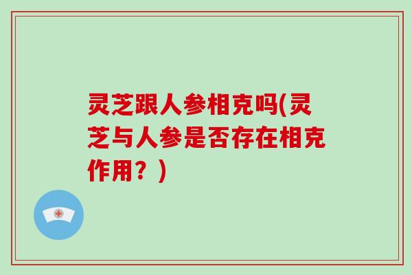 灵芝跟人参相克吗(灵芝与人参是否存在相克作用？)