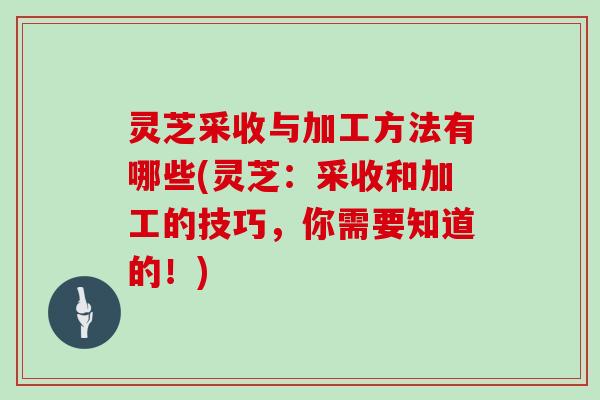 灵芝采收与加工方法有哪些(灵芝：采收和加工的技巧，你需要知道的！)