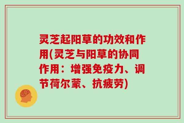 灵芝起阳草的功效和作用(灵芝与阳草的协同作用：增强免疫力、调节荷尔蒙、)