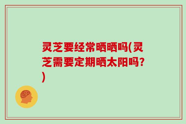 灵芝要经常晒晒吗(灵芝需要定期晒太阳吗？)