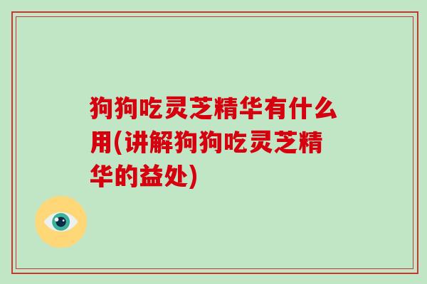 狗狗吃灵芝精华有什么用(讲解狗狗吃灵芝精华的益处)