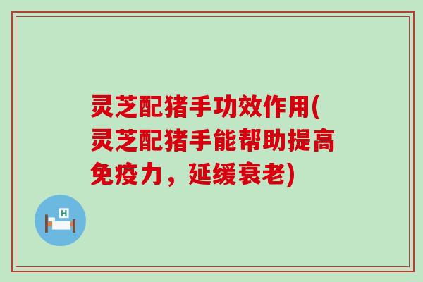 灵芝配猪手功效作用(灵芝配猪手能帮助提高免疫力，延缓)