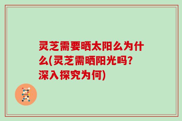 灵芝需要晒太阳么为什么(灵芝需晒阳光吗？深入探究为何)