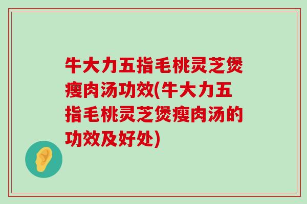 牛大力五指毛桃灵芝煲瘦肉汤功效(牛大力五指毛桃灵芝煲瘦肉汤的功效及好处)