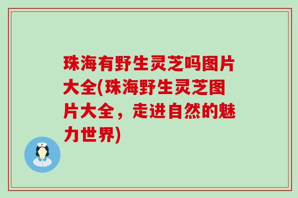 珠海有野生灵芝吗图片大全(珠海野生灵芝图片大全，走进自然的魅力世界)