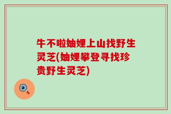 牛不啦妯娌上山找野生灵芝(妯娌攀登寻找珍贵野生灵芝)