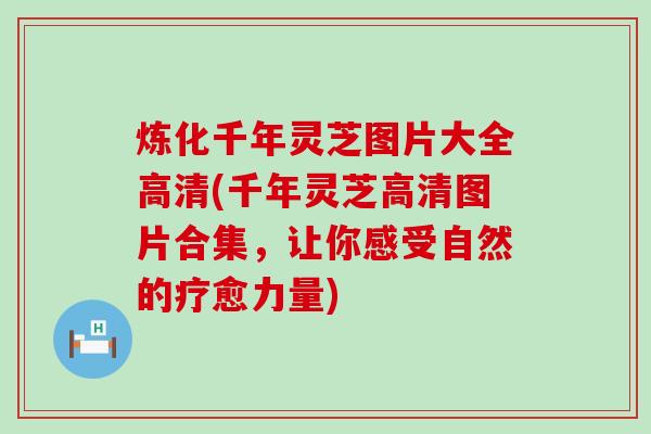 炼化千年灵芝图片大全高清(千年灵芝高清图片合集，让你感受自然的疗愈力量)