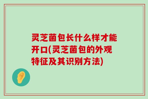 灵芝菌包长什么样才能开口(灵芝菌包的外观特征及其识别方法)