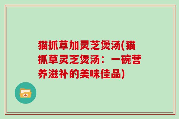 猫抓草加灵芝煲汤(猫抓草灵芝煲汤：一碗营养滋补的美味佳品)