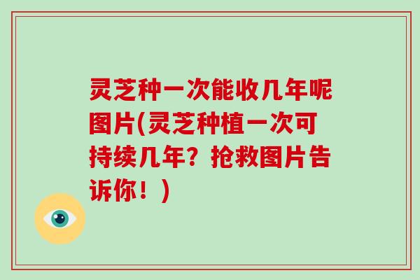 灵芝种一次能收几年呢图片(灵芝种植一次可持续几年？抢救图片告诉你！)