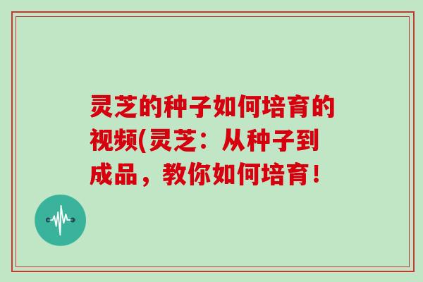 灵芝的种子如何培育的视频(灵芝：从种子到成品，教你如何培育！