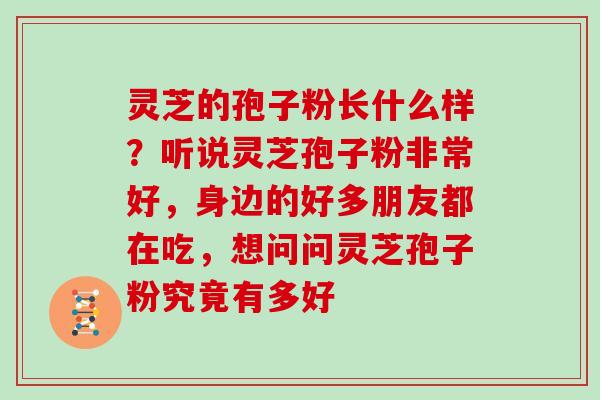 灵芝的孢子粉长什么样？听说灵芝孢子粉非常好，身边的好多朋友都在吃，想问问灵芝孢子粉究竟有多好