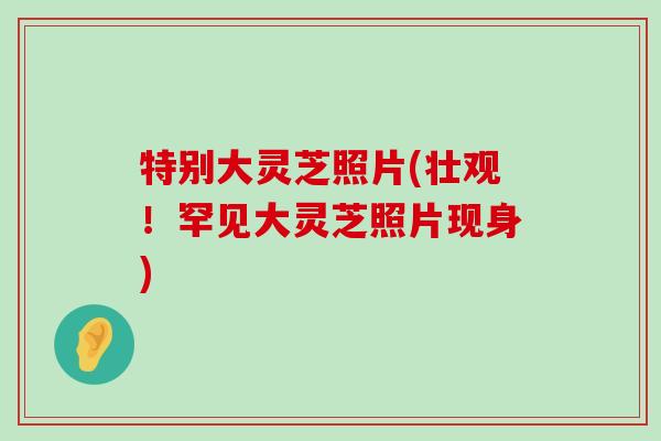 特别大灵芝照片(壮观！罕见大灵芝照片现身)