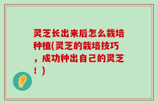 灵芝长出来后怎么栽培种植(灵芝的栽培技巧，成功种出自己的灵芝！)