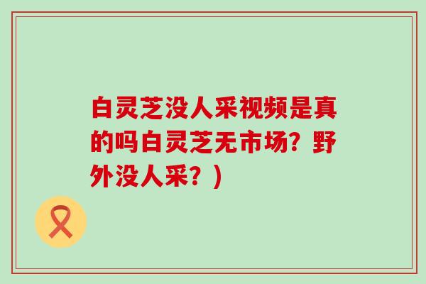 白灵芝没人采视频是真的吗白灵芝无市场？野外没人采？)