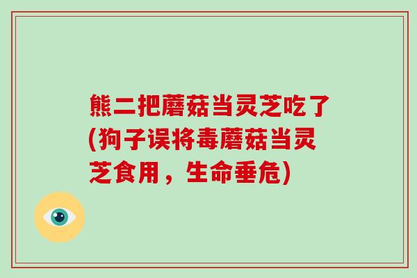 熊二把蘑菇当灵芝吃了(狗子误将毒蘑菇当灵芝食用，生命垂危)