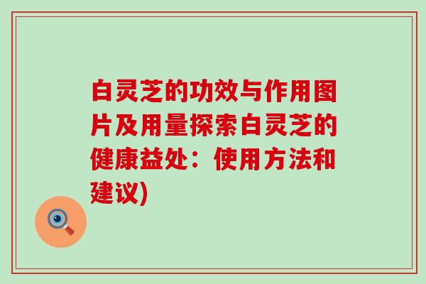 白灵芝的功效与作用图片及用量探索白灵芝的健康益处：使用方法和建议)