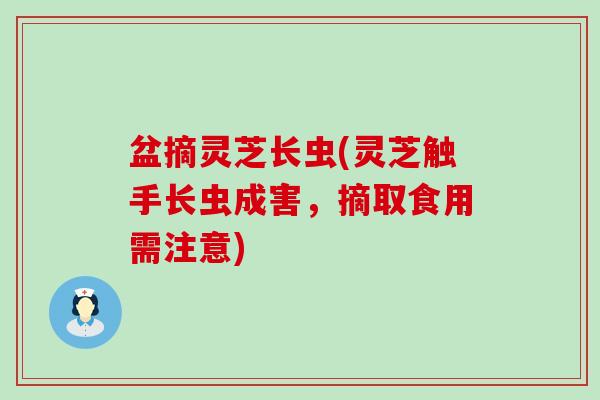 盆摘灵芝长虫(灵芝触手长虫成害，摘取食用需注意)