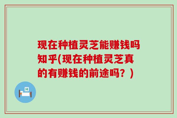 现在种植灵芝能赚钱吗知乎(现在种植灵芝真的有赚钱的前途吗？)