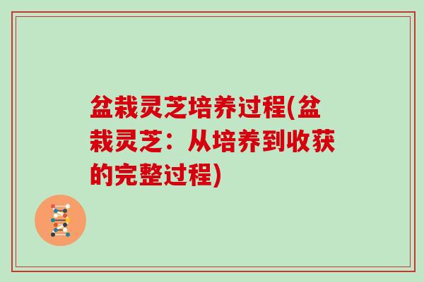 盆栽灵芝培养过程(盆栽灵芝：从培养到收获的完整过程)