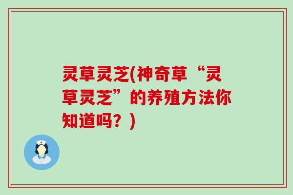 灵草灵芝(神奇草“灵草灵芝”的养殖方法你知道吗？)