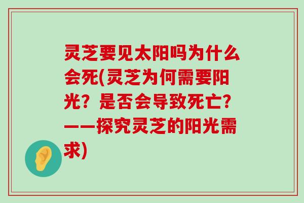 灵芝要见太阳吗为什么会死(灵芝为何需要阳光？是否会导致死亡？——探究灵芝的阳光需求)