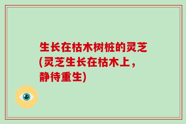 生长在枯木树桩的灵芝(灵芝生长在枯木上，静待重生)