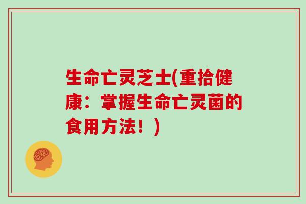 生命亡灵芝士(重拾健康：掌握生命亡灵菌的食用方法！)