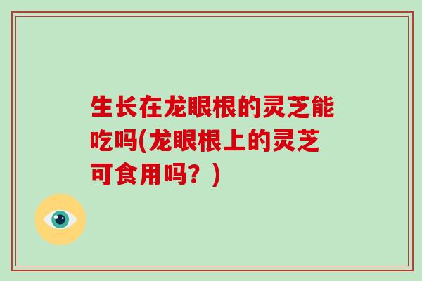 生长在龙眼根的灵芝能吃吗(龙眼根上的灵芝可食用吗？)