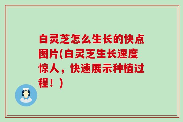 白灵芝怎么生长的快点图片(白灵芝生长速度惊人，快速展示种植过程！)