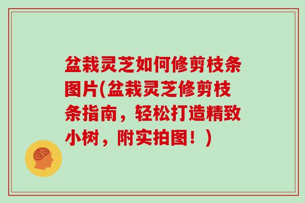 盆栽灵芝如何修剪枝条图片(盆栽灵芝修剪枝条指南，轻松打造精致小树，附实拍图！)