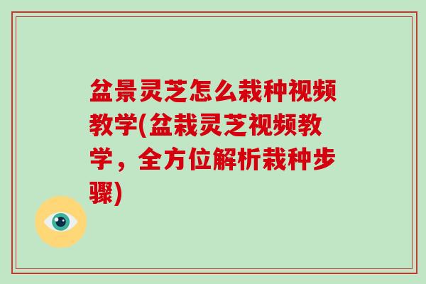 盆景灵芝怎么栽种视频教学(盆栽灵芝视频教学，全方位解析栽种步骤)