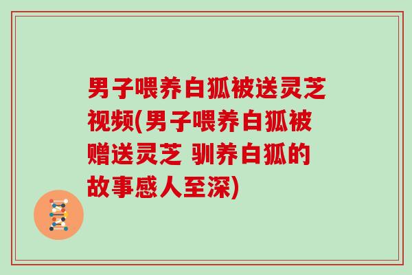 男子喂养白狐被送灵芝视频(男子喂养白狐被赠送灵芝 驯养白狐的故事感人至深)