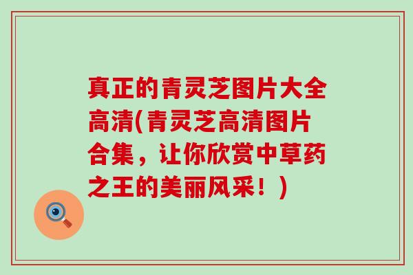 真正的青灵芝图片大全高清(青灵芝高清图片合集，让你欣赏中草药之王的美丽风采！)