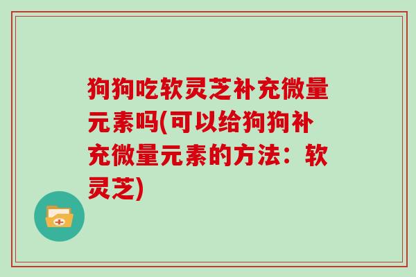 狗狗吃软灵芝补充微量元素吗(可以给狗狗补充微量元素的方法：软灵芝)