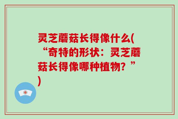 灵芝蘑菇长得像什么(“奇特的形状：灵芝蘑菇长得像哪种植物？”)