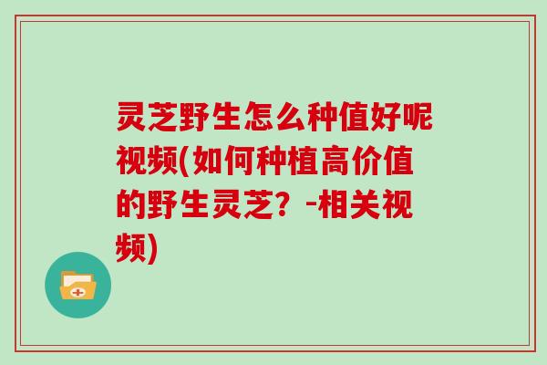 灵芝野生怎么种值好呢视频(如何种植高价值的野生灵芝？-相关视频)