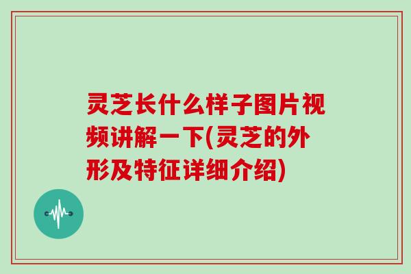 灵芝长什么样子图片视频讲解一下(灵芝的外形及特征详细介绍)