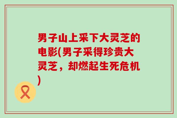 男子山上采下大灵芝的电影(男子采得珍贵大灵芝，却燃起生死危机)