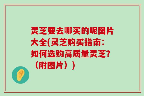 灵芝要去哪买的呢图片大全(灵芝购买指南：如何选购高质量灵芝？（附图片）)