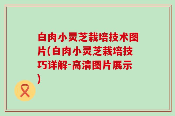 白肉小灵芝栽培技术图片(白肉小灵芝栽培技巧详解-高清图片展示)