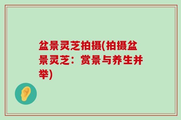 盆景灵芝拍摄(拍摄盆景灵芝：赏景与养生并举)