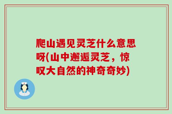 爬山遇见灵芝什么意思呀(山中邂逅灵芝，惊叹大自然的神奇奇妙)