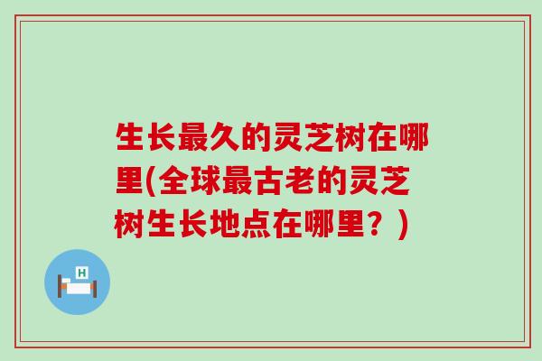 生长久的灵芝树在哪里(全球古老的灵芝树生长地点在哪里？)