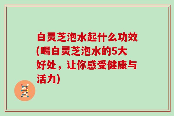 白灵芝泡水起什么功效(喝白灵芝泡水的5大好处，让你感受健康与活力)