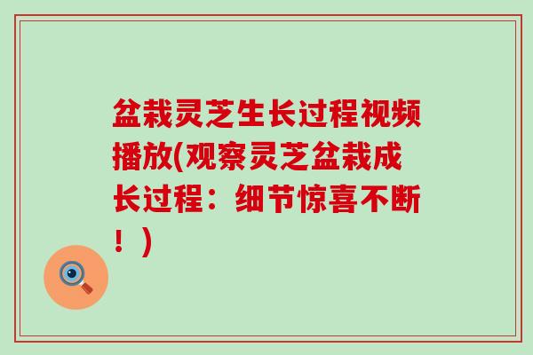 盆栽灵芝生长过程视频播放(观察灵芝盆栽成长过程：细节惊喜不断！)