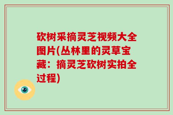 砍树采摘灵芝视频大全图片(丛林里的灵草宝藏：摘灵芝砍树实拍全过程)