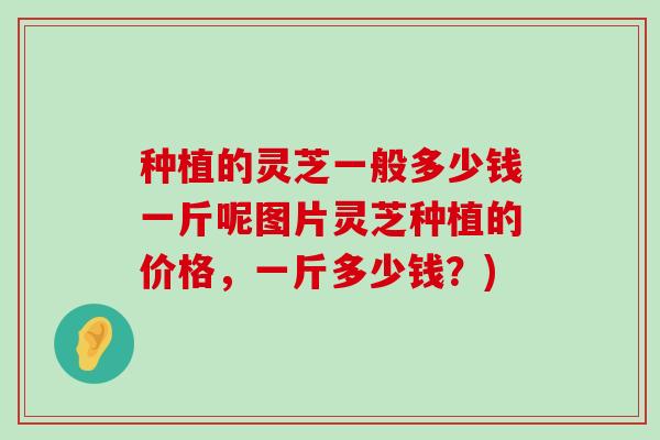 种植的灵芝一般多少钱一斤呢图片灵芝种植的价格，一斤多少钱？)